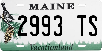 ME license plate 2993TS