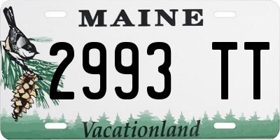 ME license plate 2993TT