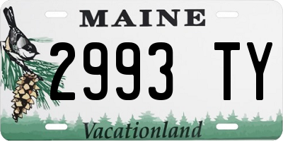 ME license plate 2993TY