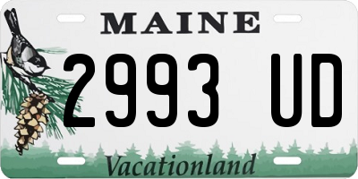 ME license plate 2993UD