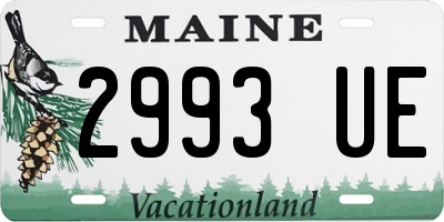 ME license plate 2993UE