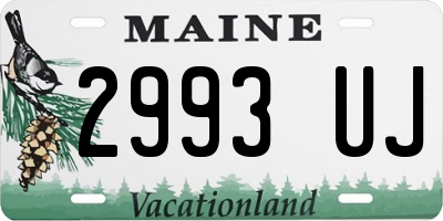 ME license plate 2993UJ