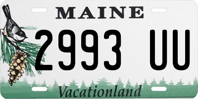 ME license plate 2993UU
