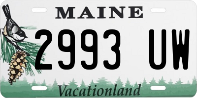 ME license plate 2993UW