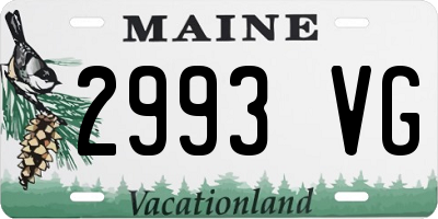 ME license plate 2993VG