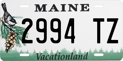 ME license plate 2994TZ