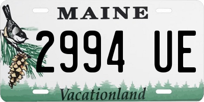 ME license plate 2994UE