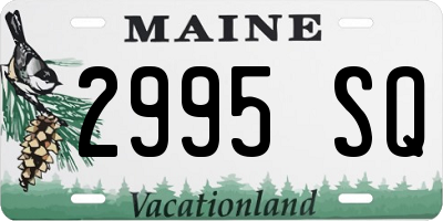 ME license plate 2995SQ
