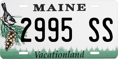 ME license plate 2995SS