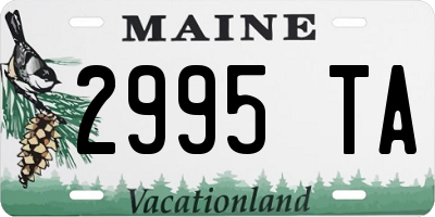 ME license plate 2995TA