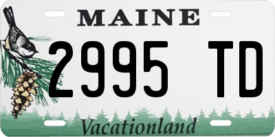 ME license plate 2995TD