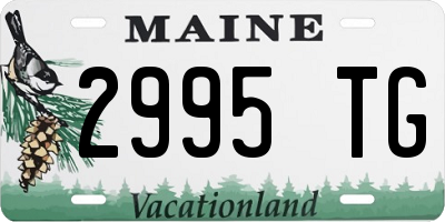 ME license plate 2995TG