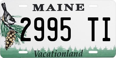 ME license plate 2995TI