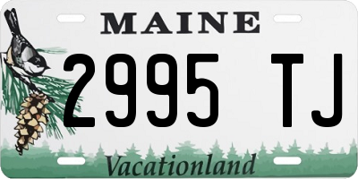 ME license plate 2995TJ