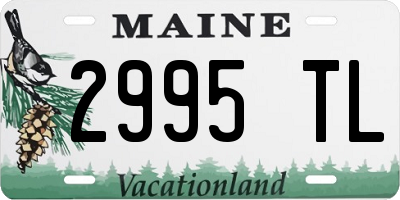ME license plate 2995TL