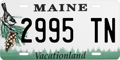 ME license plate 2995TN