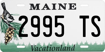 ME license plate 2995TS