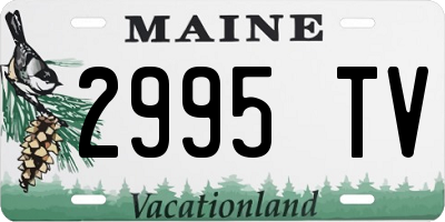 ME license plate 2995TV