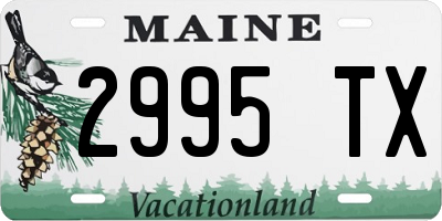 ME license plate 2995TX