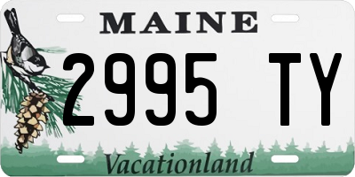 ME license plate 2995TY