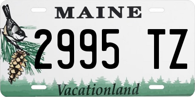 ME license plate 2995TZ