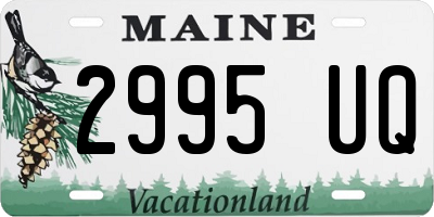 ME license plate 2995UQ