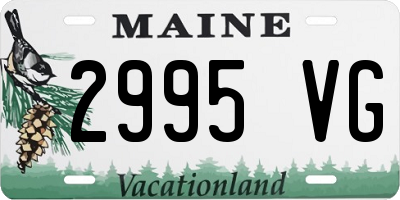 ME license plate 2995VG