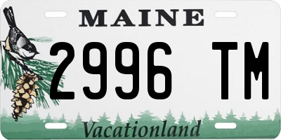 ME license plate 2996TM