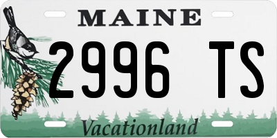 ME license plate 2996TS