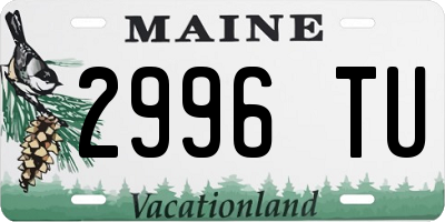 ME license plate 2996TU