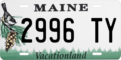 ME license plate 2996TY