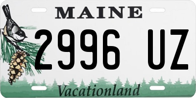 ME license plate 2996UZ