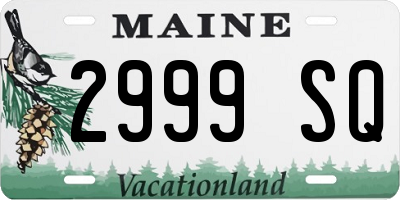 ME license plate 2999SQ
