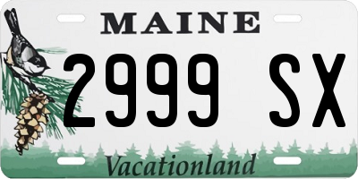 ME license plate 2999SX