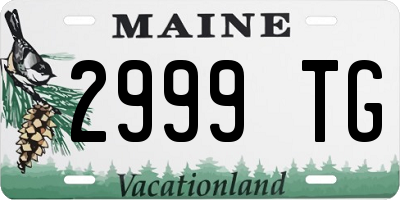 ME license plate 2999TG