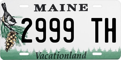 ME license plate 2999TH