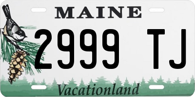 ME license plate 2999TJ