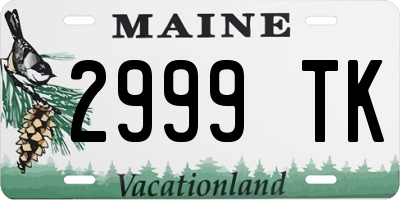 ME license plate 2999TK