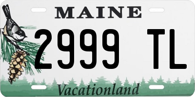 ME license plate 2999TL