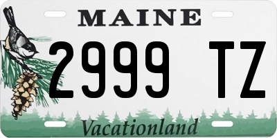 ME license plate 2999TZ