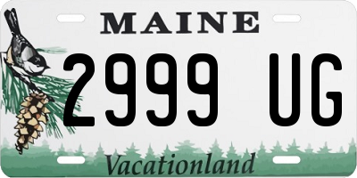 ME license plate 2999UG