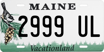 ME license plate 2999UL