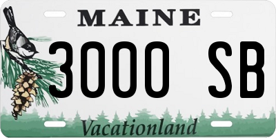 ME license plate 3000SB