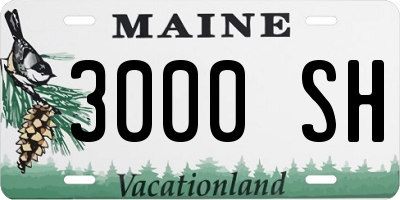 ME license plate 3000SH