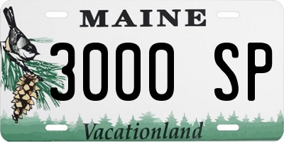 ME license plate 3000SP