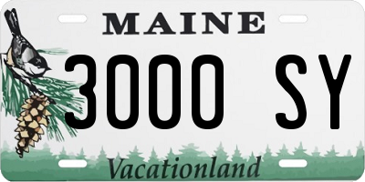 ME license plate 3000SY