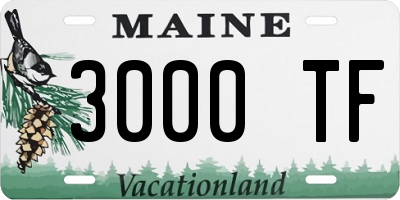 ME license plate 3000TF