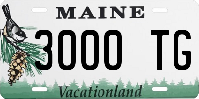 ME license plate 3000TG