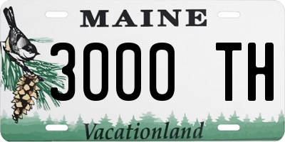 ME license plate 3000TH
