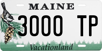 ME license plate 3000TP